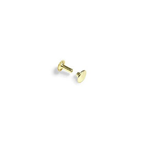 Tandy Leather Rapid Rivets Small Brass Plated 100/pk 1271-11