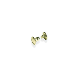 Tandy Leather Screw Post 1/4" (0.6 cm) Solid Brass 100/pk 1290-11