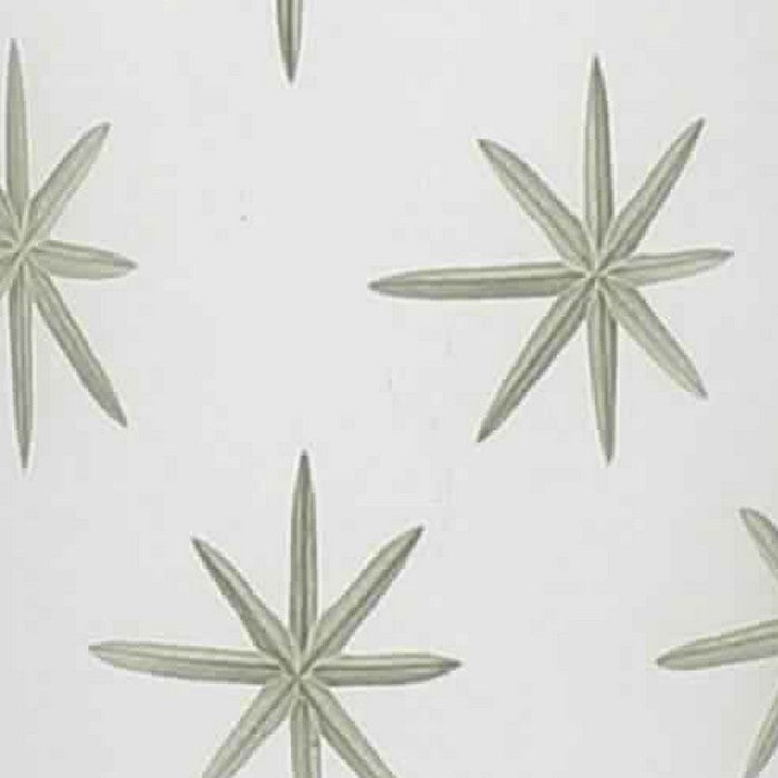 Cylindrical Frosted Glass Hurricane with 8 Point Star Print, Large, White