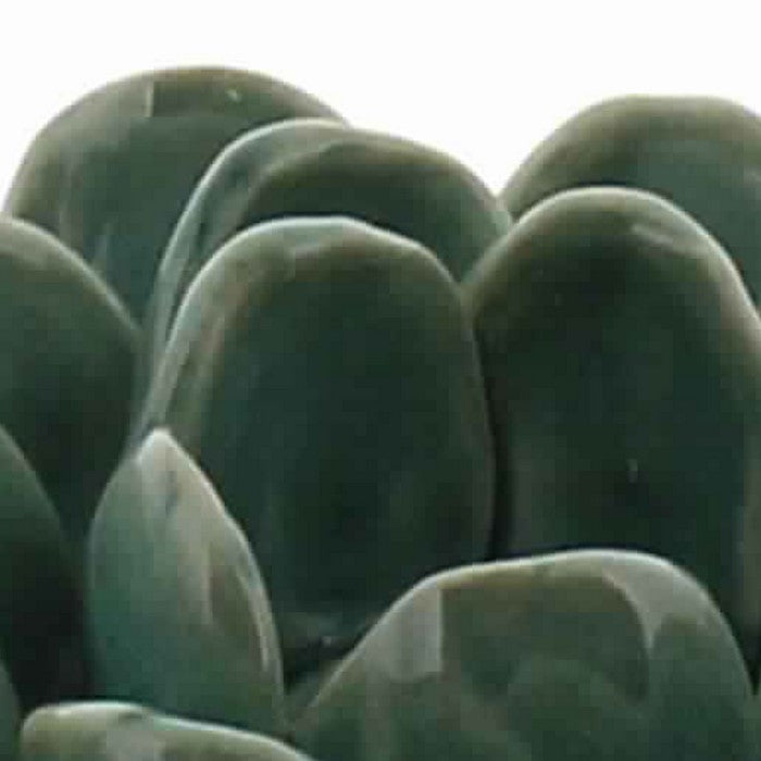 Succulent Shape Ceramic Tealight Holder, Blue