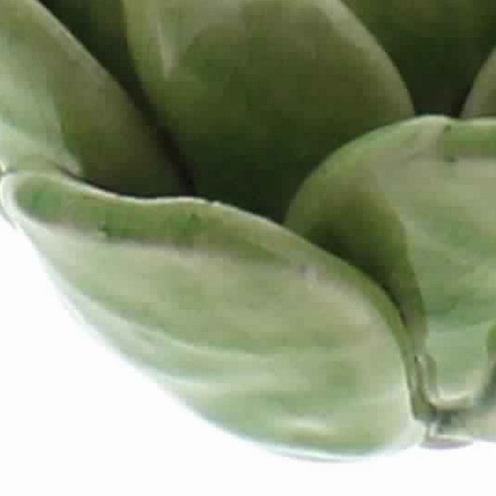 Succulent Shape Ceramic Tealight Holder, Green