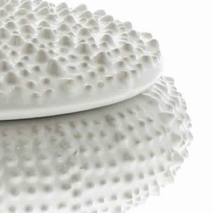 Urchin Textured Round Ceramic Storage Box with Lid, Large, White