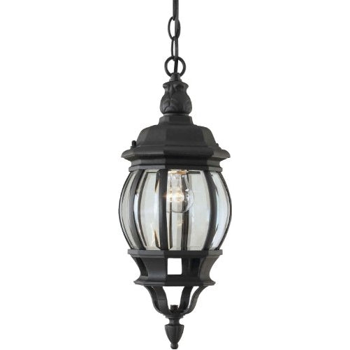 Forte Lighting 1702-01-04 Traditional 1-Light Exterior Hanging Lantern with Clear Beveled Glass, Black Finish