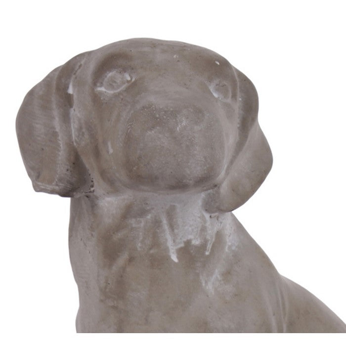 Cement Sitting Labrador Dog Breed Looking Towards Left, Concrete Gray