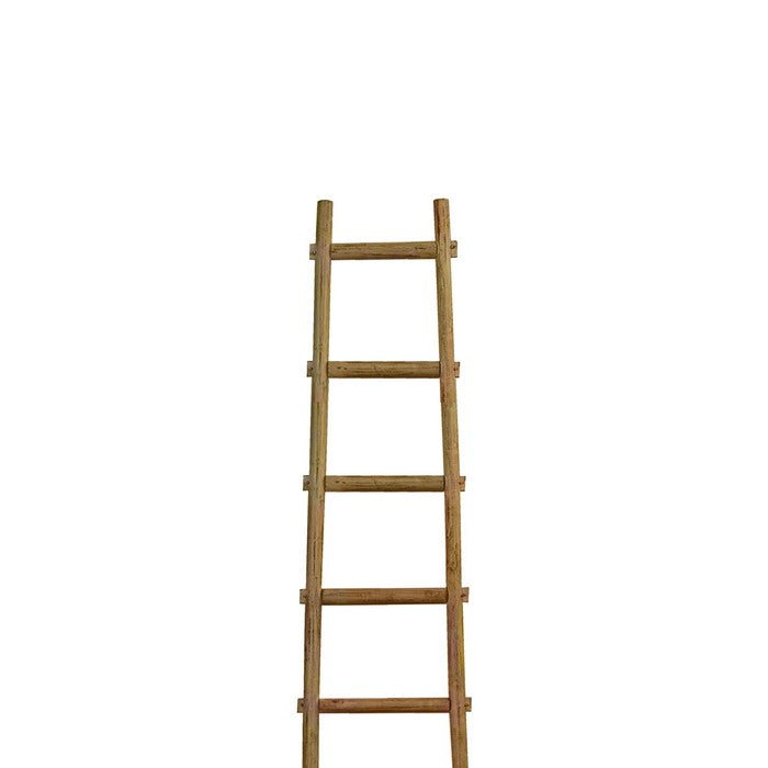 Transitional Style Wooden Decor Ladder with 6 Steps, Brown