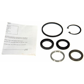 Edelmann 8769 Power Steering Gear Box Pitman Shaft Seal Kit