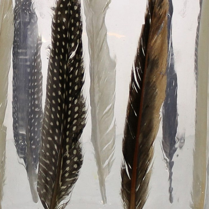 Modern Style Glass Hurricane with Enamelled Feather Design, Multicolor