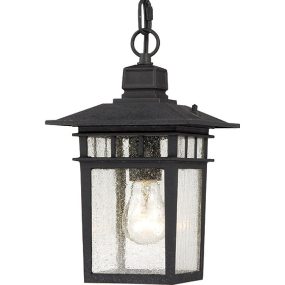 Nuvo Lighting 60/4956 Cove Neck One Light Hanging Lantern 100 Watt A19 Max. Clear Seeded Glass Textured Black Outdoor Fixture