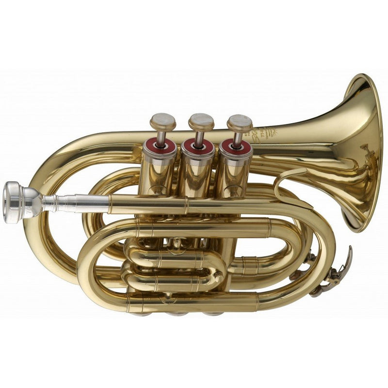 Stagg WS - TR245 Bb Pocket Trumpet with Case