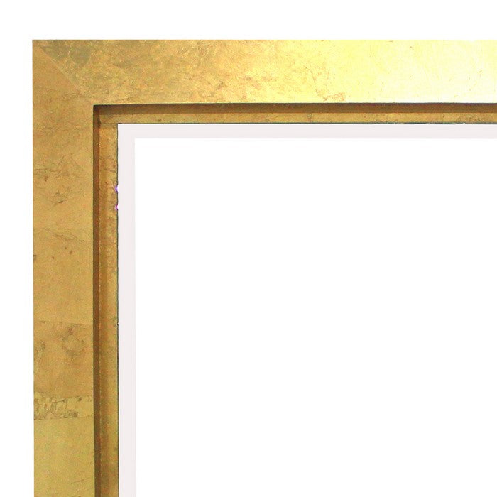 Contemporary Style Rectangular Wooden Frame Wall Mirror, Gold and Silver