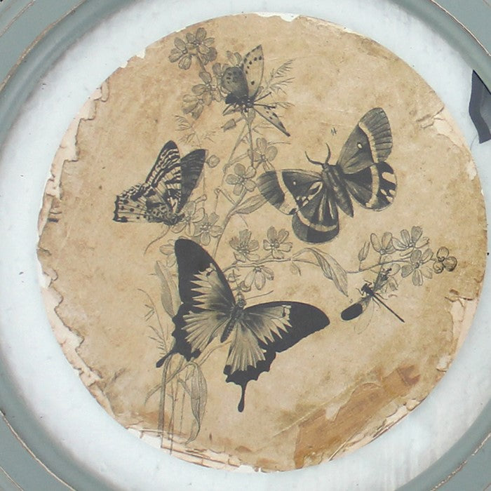2 Piece Glass Plate Design Wall Decor with Ribbon Hanging, Gray and Clear