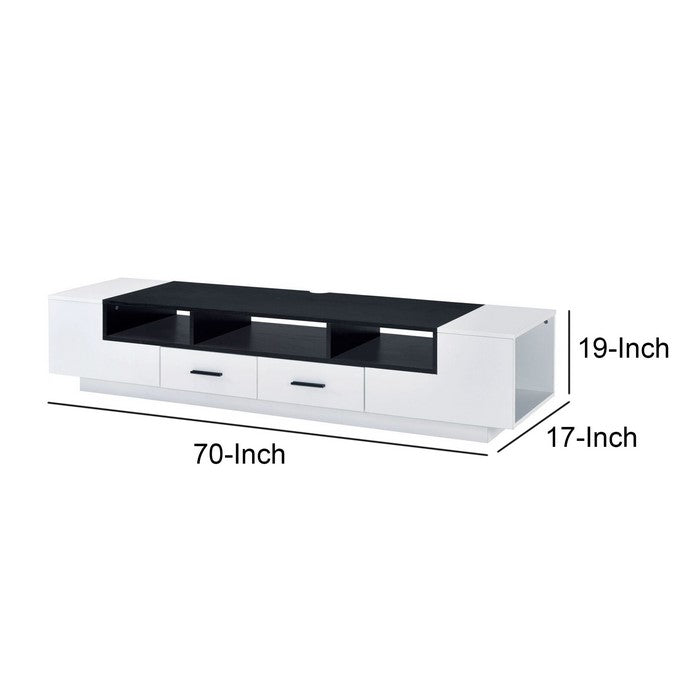 Contemporary 2 Drawer TV Stand with Media Compartments, Black and White