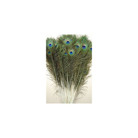 50 Pcs Peacock Feathers 35"-40"