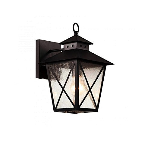 Transglobe Lighting 40171 BK Outdoor Wall Light with Seeded Glass Shade, Black Finished