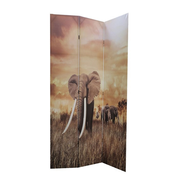 Wooden 3 Panel Double Sided Room Divider with Animal Print, Multicolor
