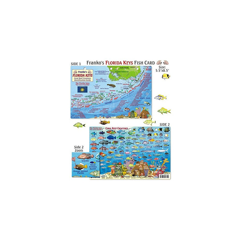 Florida Keys Reef Creatures Fish ID