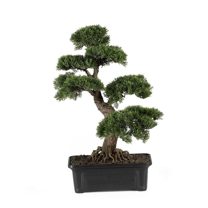 Nearly Natural 4103 Cedar Bonsai Artificial Plant, 24-Inch, Green