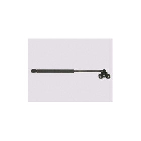 Sachs SG326013 Lift Support