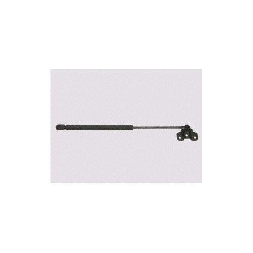 Sachs SG326013 Lift Support