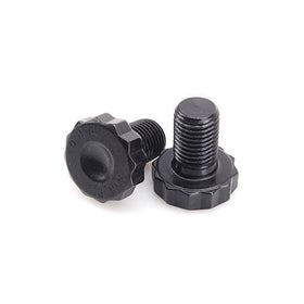 ARP 2002902 Flywheel & Flexplate Bolt