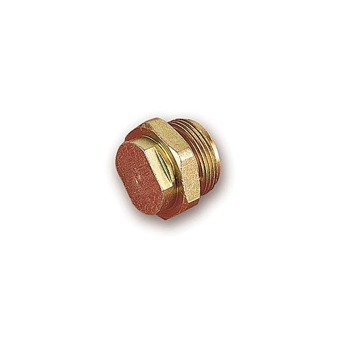 Holley 26-18-2 Fuel Inlet Plug