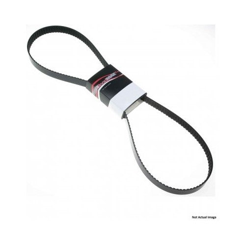 Roadmax 6K875AP Serpentine Belt