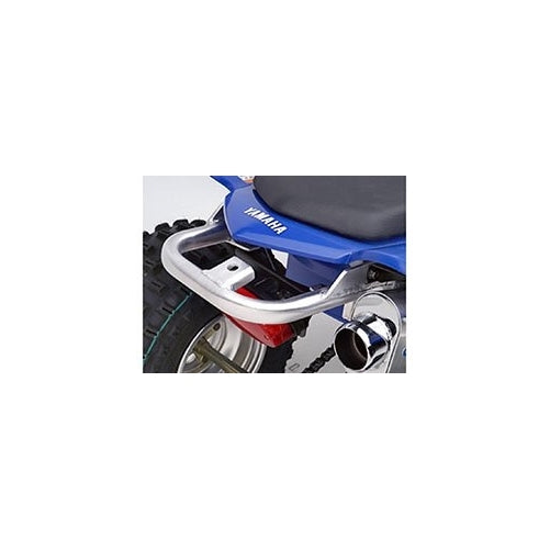 DG PERFORMANCE 592-4160 Fat Series Grab Bar