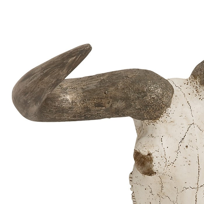 Polystone Faux Steer Skull Wall Decor with Pointed Horns, White and Gray