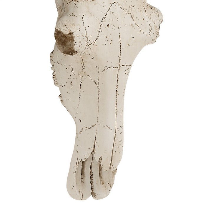 Polystone Faux Steer Skull Wall Decor with Pointed Horns, White and Gray