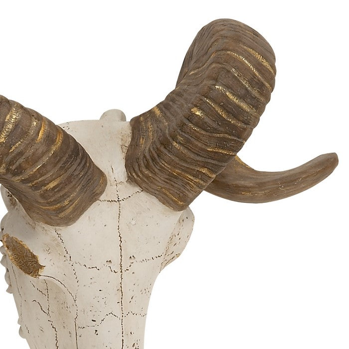 Polystone Faux Ram Skull Wall Decor with Metallic Accents, White and Bronze