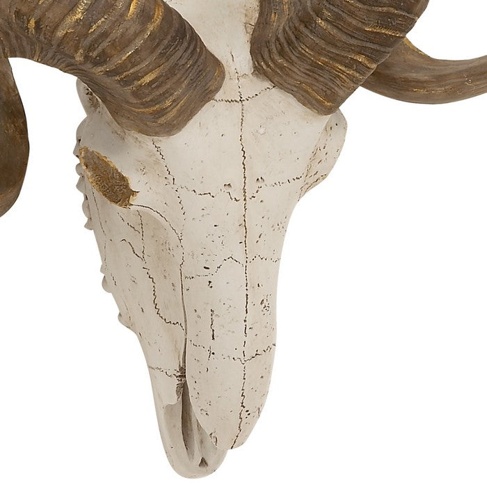 Polystone Faux Ram Skull Wall Decor with Metallic Accents, White and Bronze