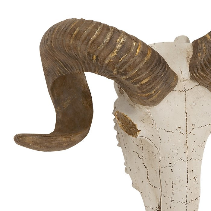 Polystone Faux Ram Skull Wall Decor with Metallic Accents, White and Bronze