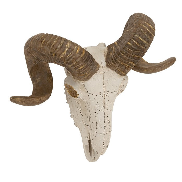 Polystone Faux Ram Skull Wall Decor with Metallic Accents, White and Bronze