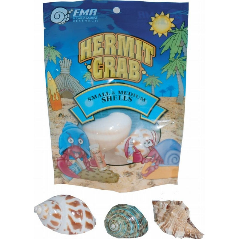 Florida Marine Research SFM33332 Hermit Crab Shell, Medium,3-Piece per Pack