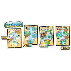 CD-3425 - BB SET LIFE CYCLES GR 1-8 BUTTERFLY