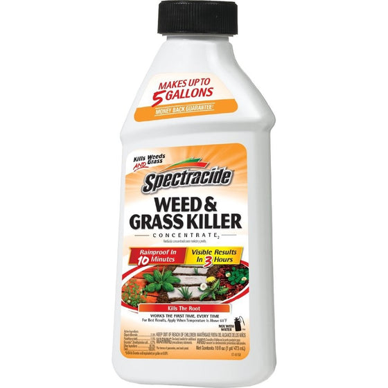 Spectracide Weed & Grass Killer Concentrate2 (HG-66001) (16 fl oz)