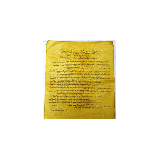 Bill of Rights Poster (23 X 29) by Historical Documents
