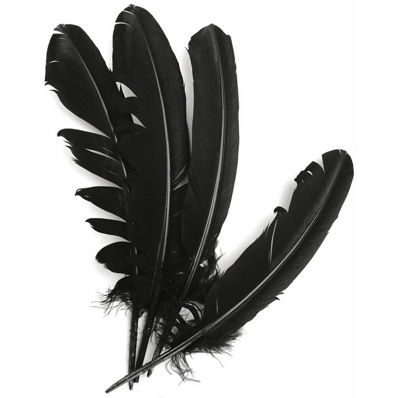 Turkey Quill Feathers 4/Pkg-Black