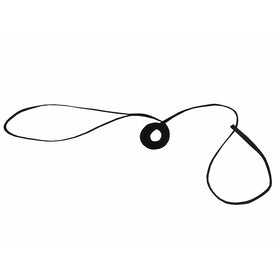 Resco Original American-Made Slip Lead, 3/16" x 48", Black