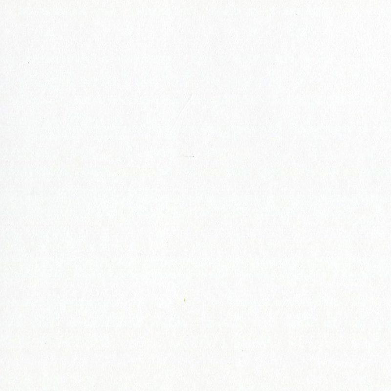 Bazzill Basics Paper 10-1083 Card Shoppe Heavy Weight Cardstock, 25 Sheets, 8.5 by 11-Inch, Marshmallow