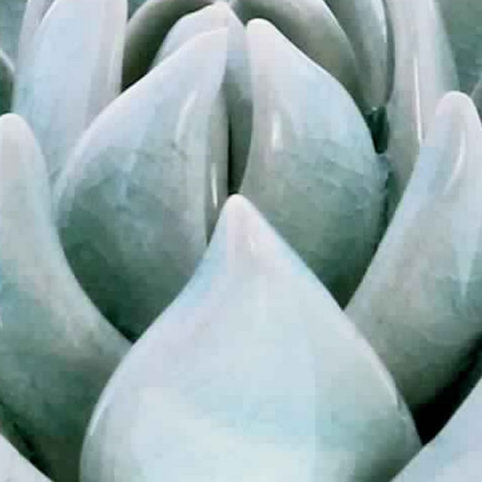 Contemporary Style Ceramic Frame Succulent Sculpture, Blue