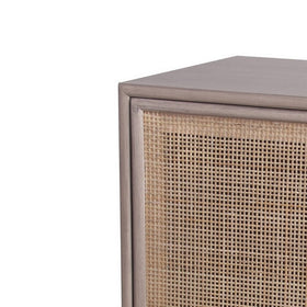 1 Door Wooden Accent Chest with Mesh Pattern Front, Gray