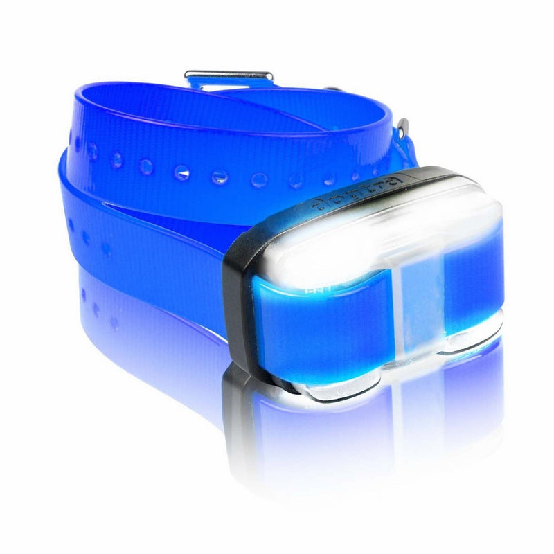 Dogtra Edge Additional Receiver Blue Strap