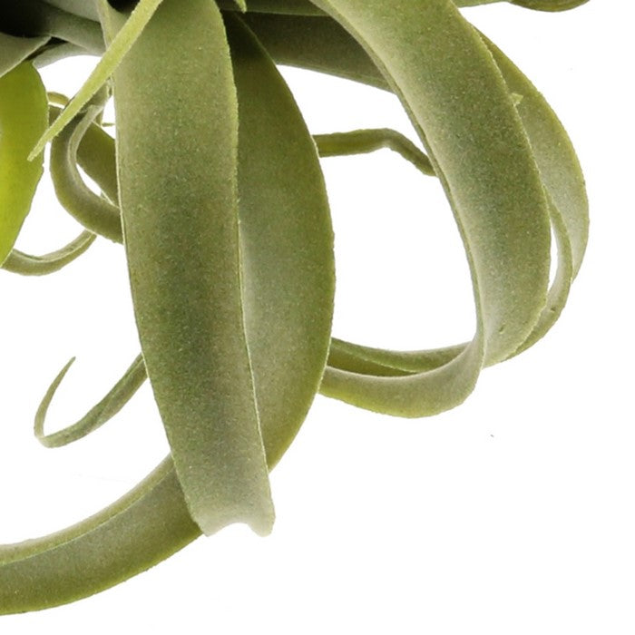 Plastic Tillandsia Sculpture, Green