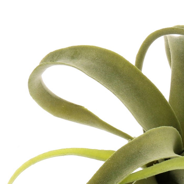 Plastic Tillandsia Sculpture, Green