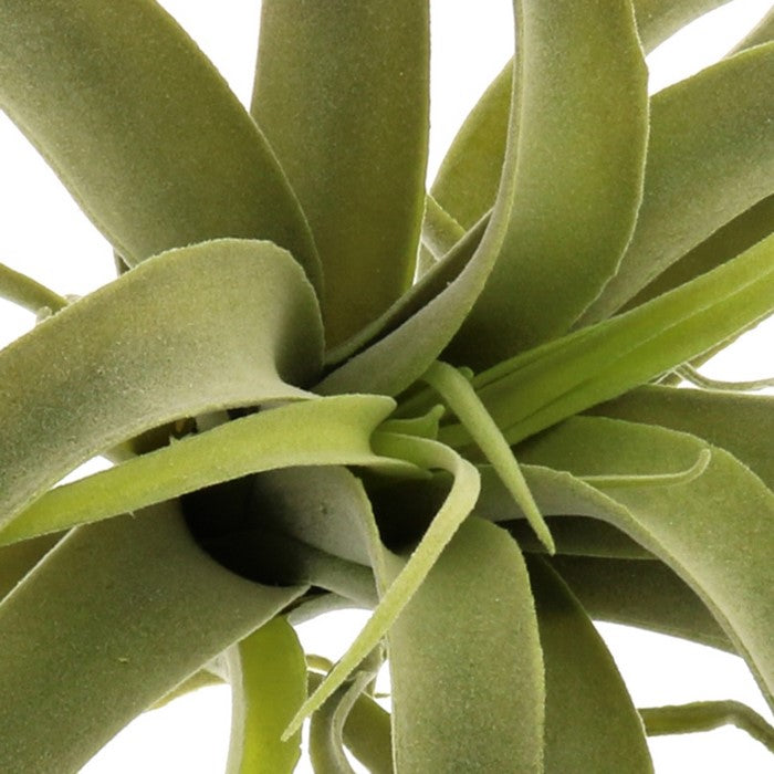 Plastic Tillandsia Sculpture, Green