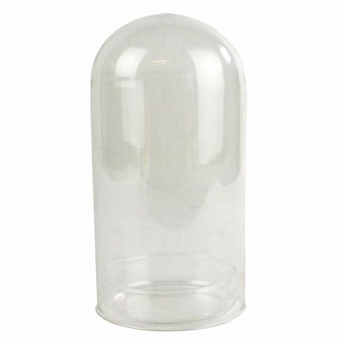 Glass Cloche with Dish, Clear