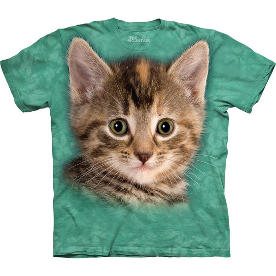 The Mountain Men's Striped Kitten T-Shirt, Green, Small