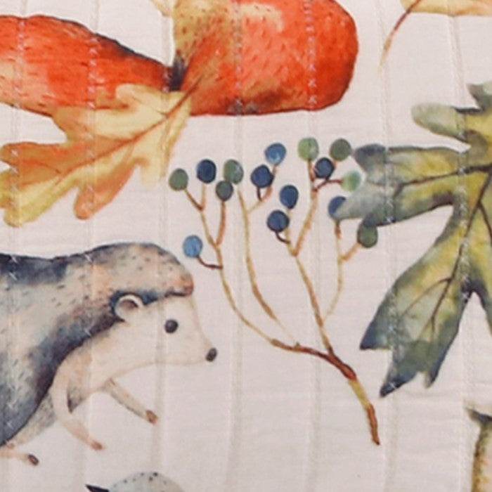 36 x 20 Inches King Size Pillow Sham with Fox and Owl Print, Multicolor