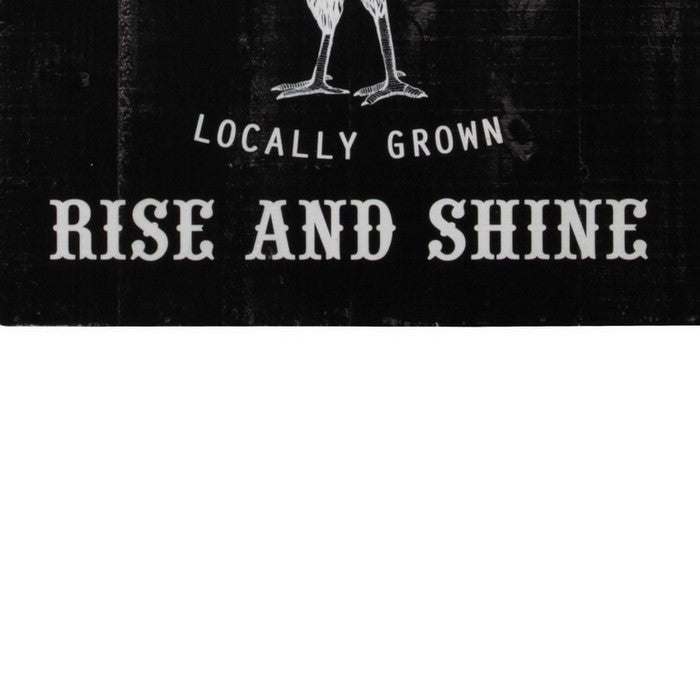FARM FRESH RISE AND SHINE Painted Wooden Wall Art, Set of 2, Black